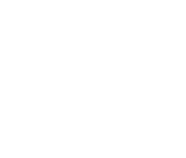 Defensor Civitatis